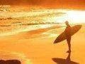 Ohodnocena hra Endless Summer od Bethesdy