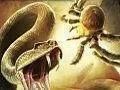 Big N-Live #6 - Deadly Creatures