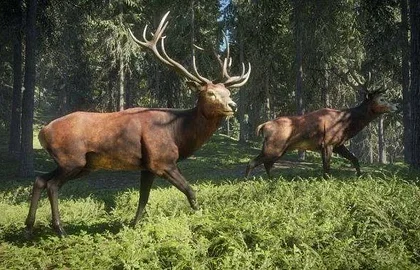 Hra theHunter: Call of the Wild vyjde během roku pro PS4 a Xbox One