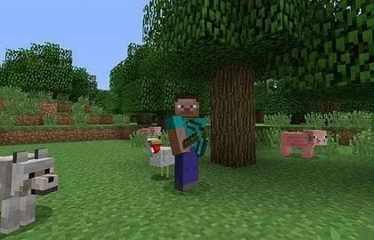 Minecraft se pravděpodobně podívá i na Wii U