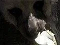 Yoshida: Vývoj The Last Guardian jde pomalu