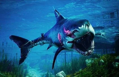 Žraločí hra Maneater míří na PS5 a Xbox Series
