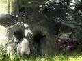 Sony Japan Studio vyráží na PlayStation Experience, objeví se The Last Guardian?