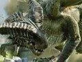 Nové obrázky z Dragon Age: Inquisition