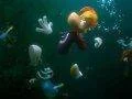 Ukázka podvodního levelu v traileru na Rayman Legends