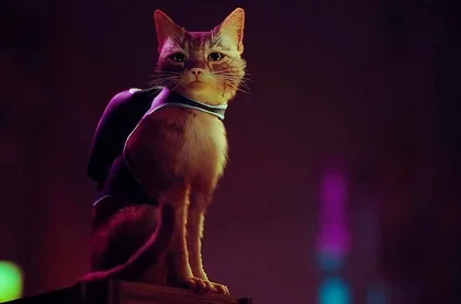 Informace o hře Stray