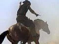 Red Dead Redemption má problém