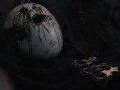 Dark Souls 2 by mohlo dostat po vydání nový obsah, záleží na hráčích