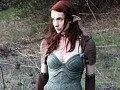 Co je Dragon Age: Redemption?