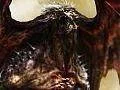 Soul Sacrifice teaser
