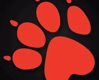Studio Naughty Dog se vyjádřilo k obvinění bývalého vývojáře ohledně sexuálního obtěžování - UPDATE