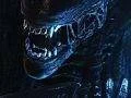 Sega připravuje Aliens Infestation