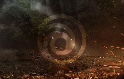 Ubisoft odhalil, jaké hry vezme na E3