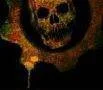 Gears of War 2 je gold