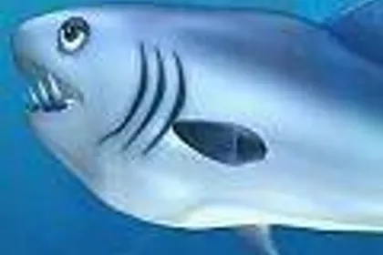 Feeding Frenzy 2: Shipwreck Showdown 