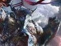 5 hodin z hraní akčního RPG Lords of the Fallen