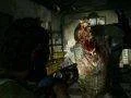 Čtvrtý deníček hry The Last of Us