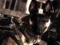 Instalace Call of Duty: Ghosts na PS4 zabere kolem 30 minut
