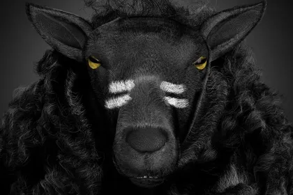 BlackSheepCZ