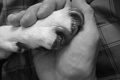 Propumpovaný bicále 💪💪🏻