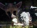 Sony: The Last Guardian není zrušen, spekulace je k smíchu