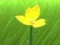 Hra flower poběží na PS4 v 1080p/60fps