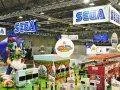 SEGA se nakonec na GamesComu objeví
