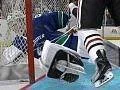 NHL 11 - Stanley Cup simulace