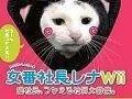 Sukeban Shachou Rena &ndash; Oficiálně nejhorší hra na Wii