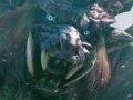 Monster Hunter Frontier G by se mohl dostat i do Evropy