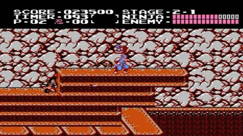 Ninja Gaiden