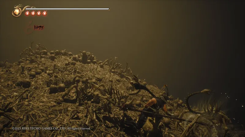 Ninja Gaiden 2 BLACK