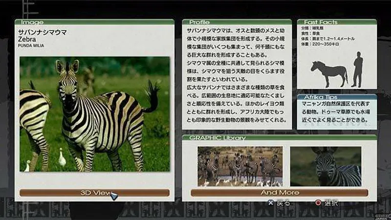 Afrika vyjde v Evropě