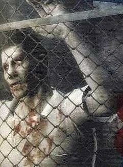 Resident Evil: Dark Side Chronicles pro Wii