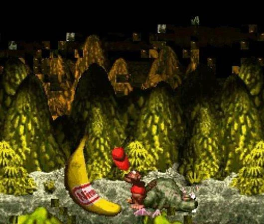 Donkey Kong Country