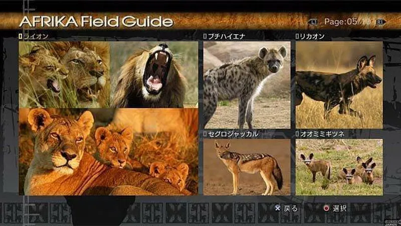 Afrika vyjde v Evropě