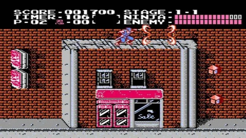Ninja Gaiden