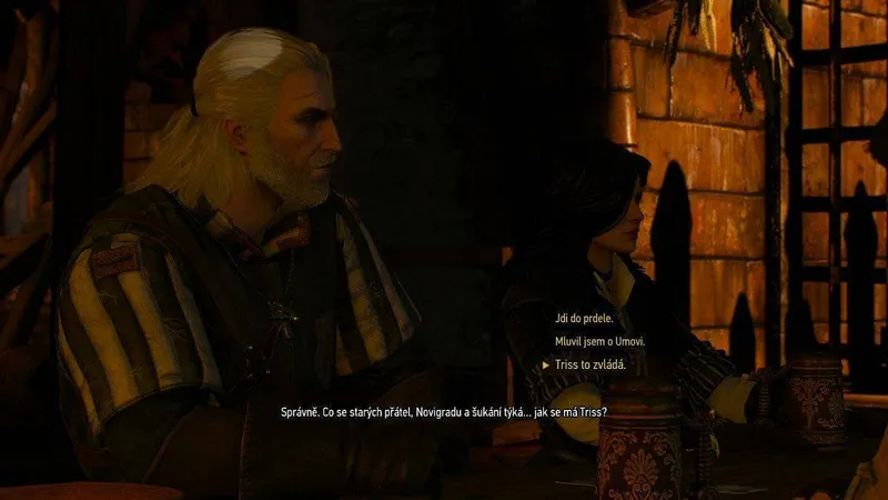 Zaklínač 3: Divoký hon