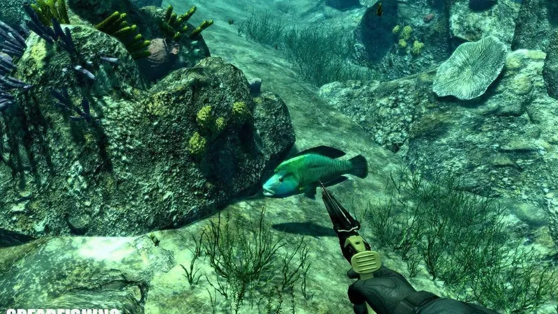 Oznámen Spearfishing