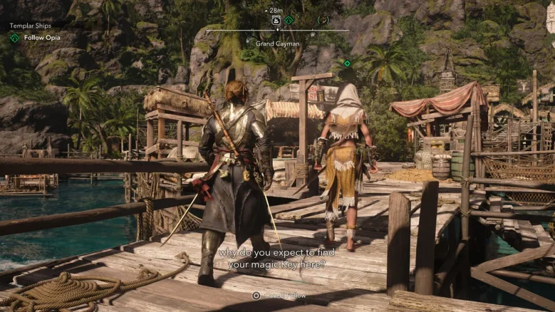 Assassin’s Creed: Black Flag Resynced