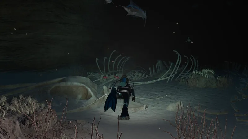 Oznámena hra Endless Ocean Luminous pro Nintendo Switch, vyjde začátkem května