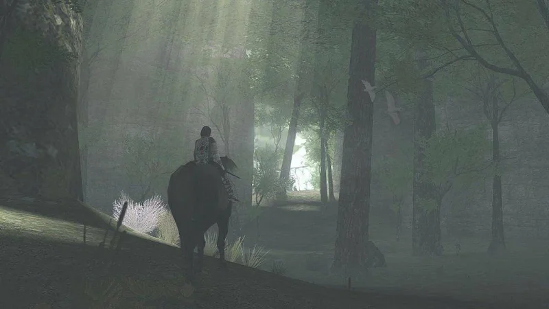 Spekulace: Box art Ico a Shadow of the Colossus HD