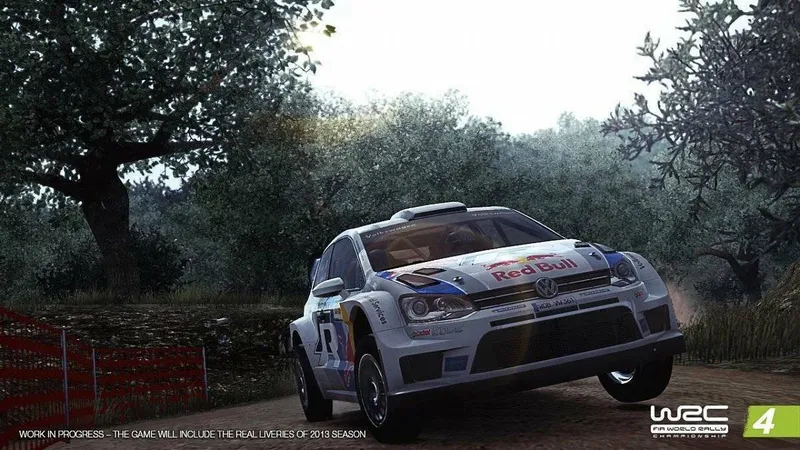 WRC 4: FIA World Rally Championship