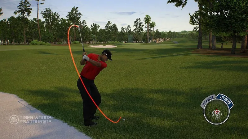 Tiger Woods PGA TOUR 13