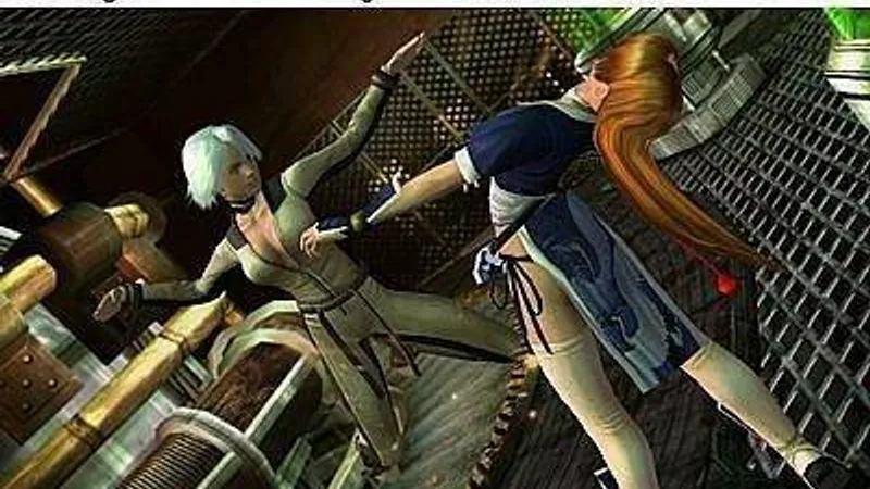 Dead or Alive Dimensions