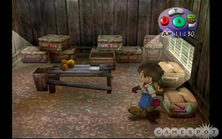 Pro PS4 se chystají dvě starší Harvest Moon hry