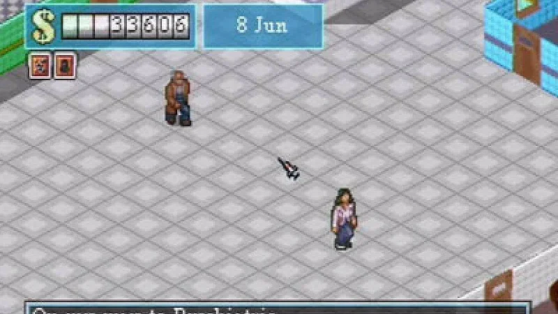 Theme Hospital