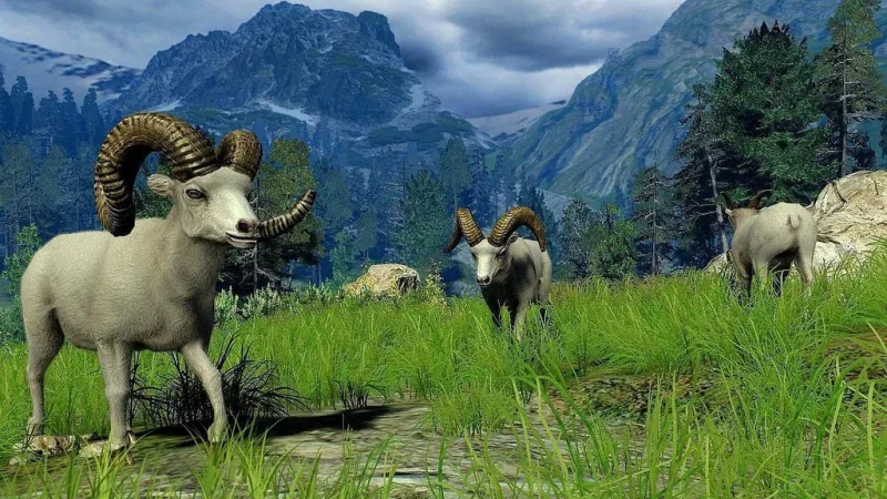 Cabela´s Big Game Hunter 2010 Trailer