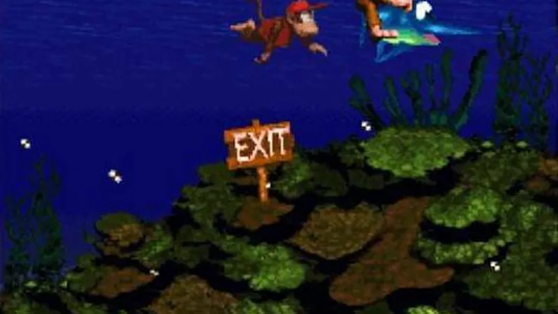 Donkey Kong Country