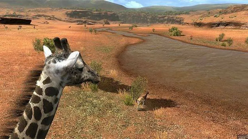 Afrika vyjde v Evropě